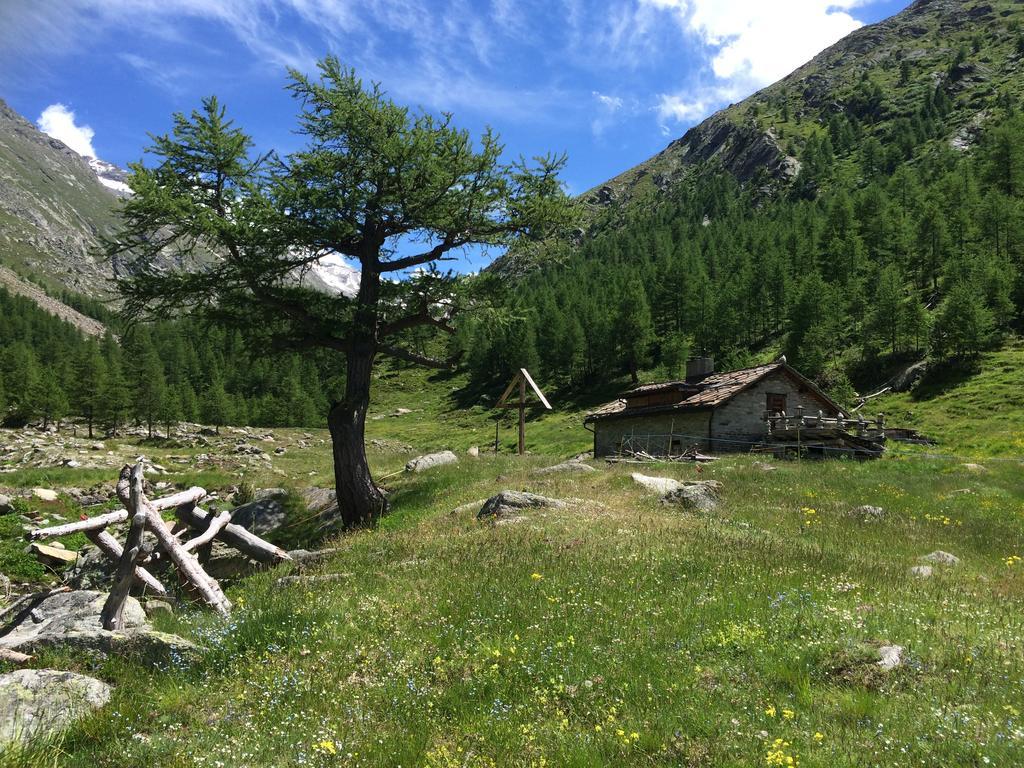 Chalet Sunstar Saas-Grund Dış mekan fotoğraf