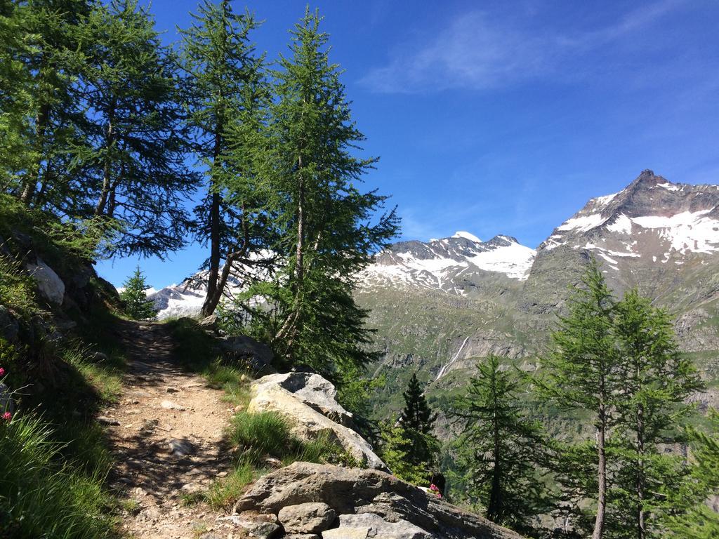 Chalet Sunstar Saas-Grund Dış mekan fotoğraf