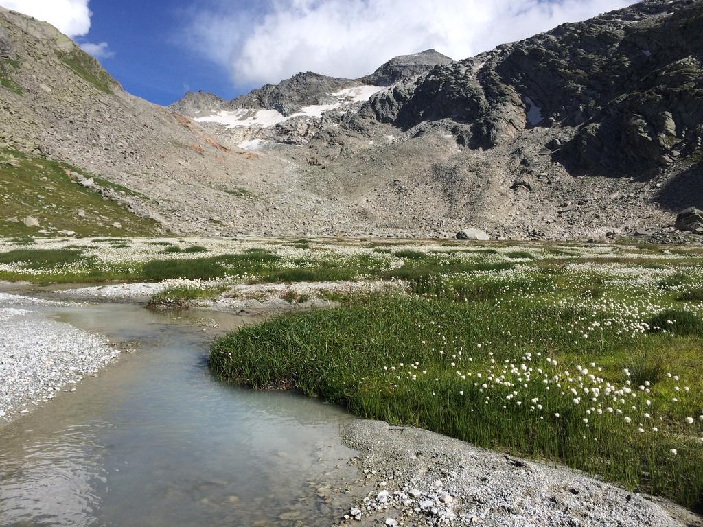 Chalet Sunstar Saas-Grund Dış mekan fotoğraf