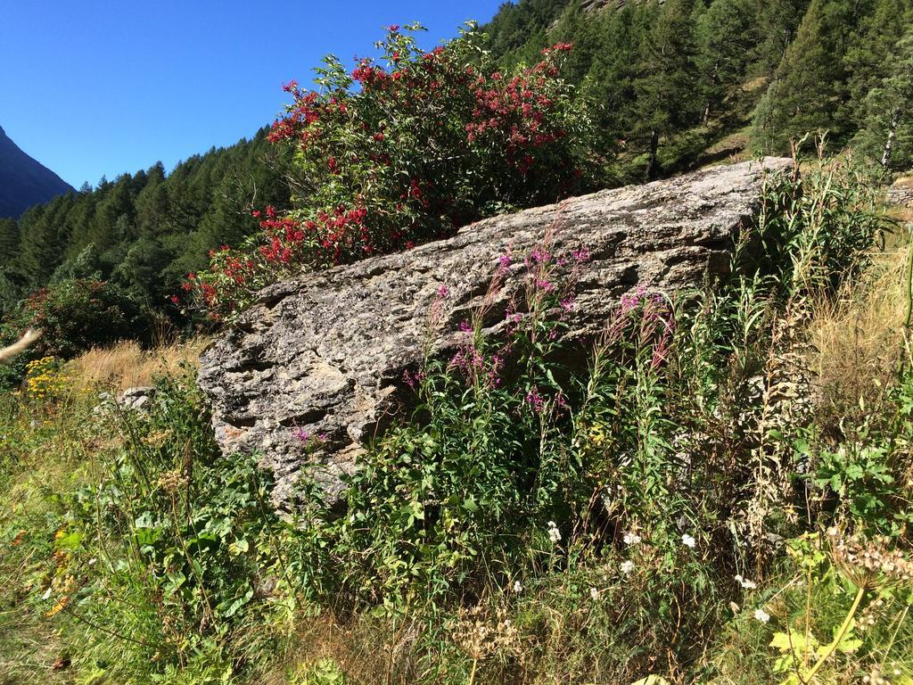 Chalet Sunstar Saas-Grund Dış mekan fotoğraf